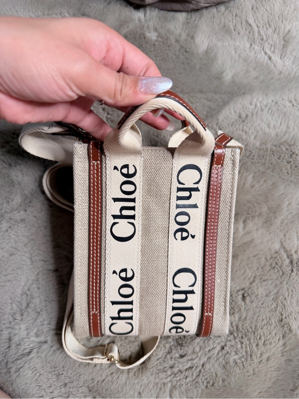 Beige Canvas Mini Tote with Brown Trim